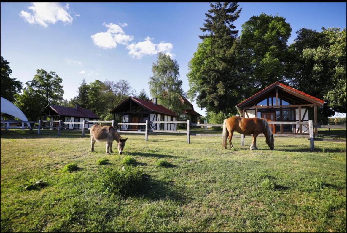 Ferienwohnung Hof Lillge Schorfheide Exterior foto